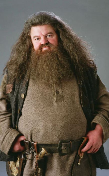 Hagrid, personnage de la saga Harry Potter